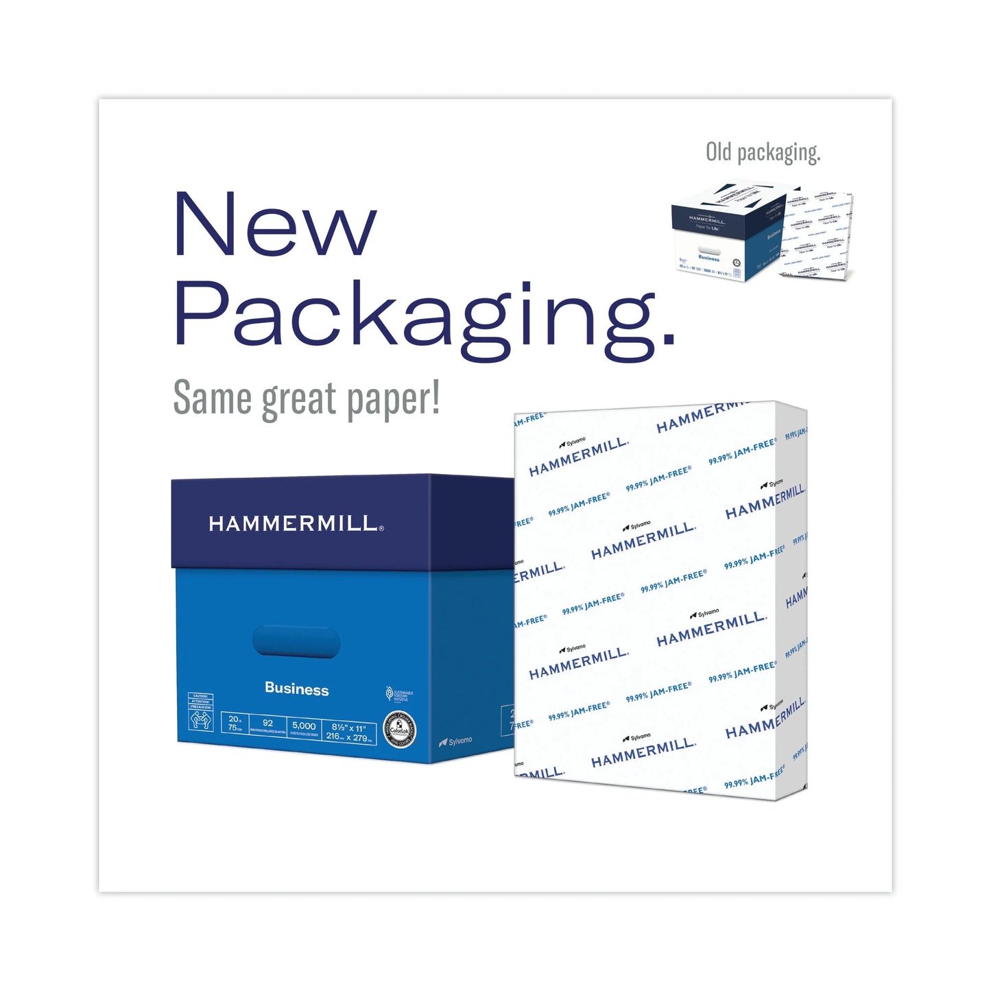 Printer Paper, 20Lb Copy Paper, 3 Hole Punch, 8.5X11, White, 1 Ream, 500 Sheets